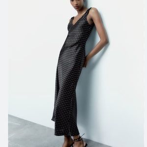Zara Silky Maxi Dress NWT